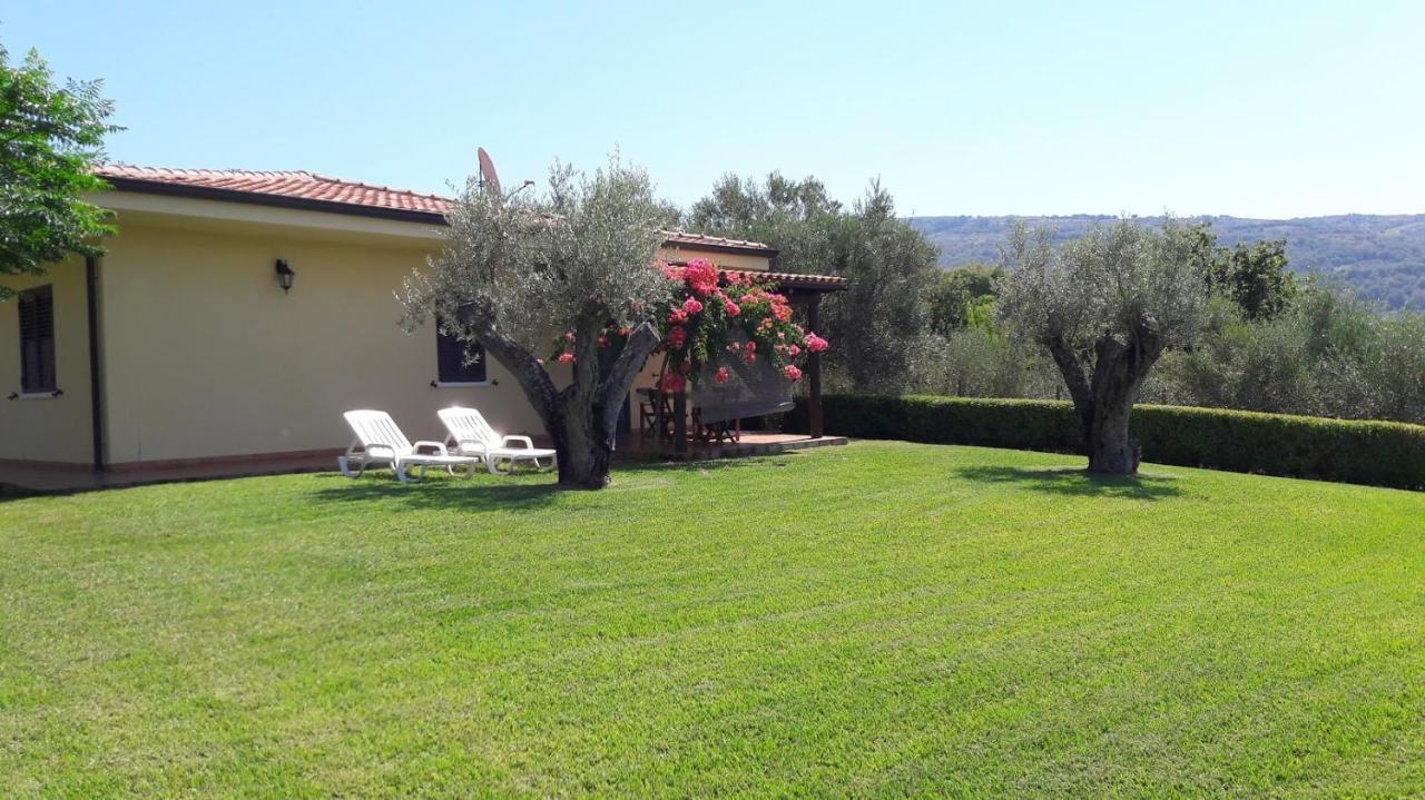 Villa Mimosa Tropea Ricadi Εξωτερικό φωτογραφία