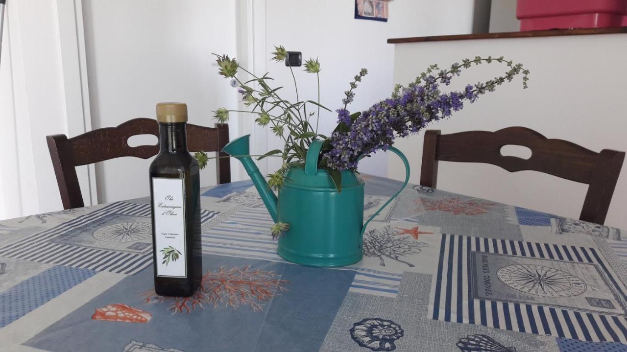 Villa Mimosa Tropea Ricadi Εξωτερικό φωτογραφία