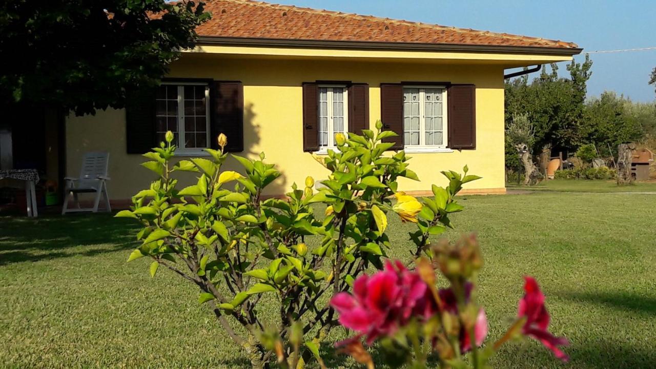 Villa Mimosa Tropea Ricadi Εξωτερικό φωτογραφία