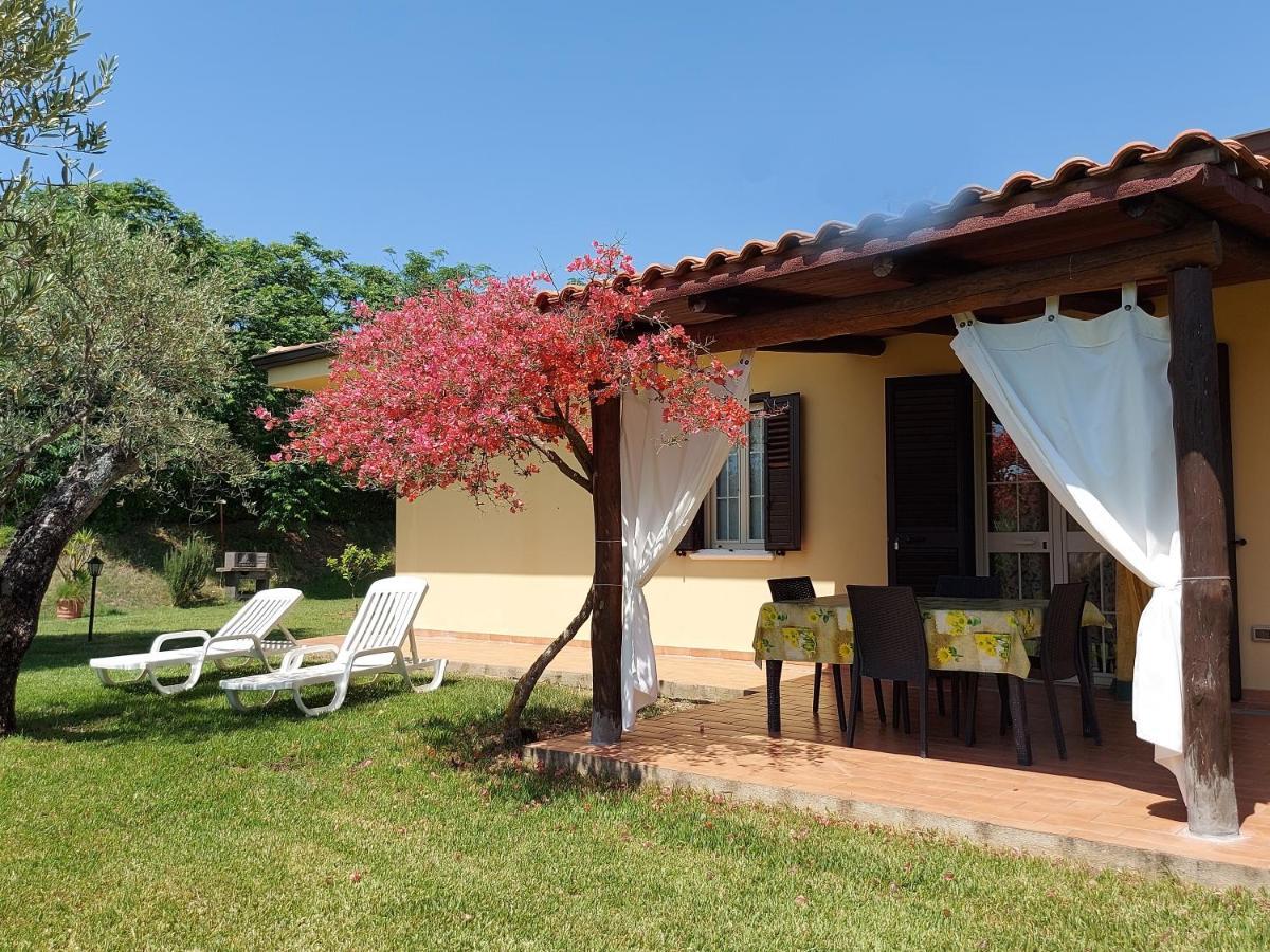 Villa Mimosa Tropea Ricadi Εξωτερικό φωτογραφία