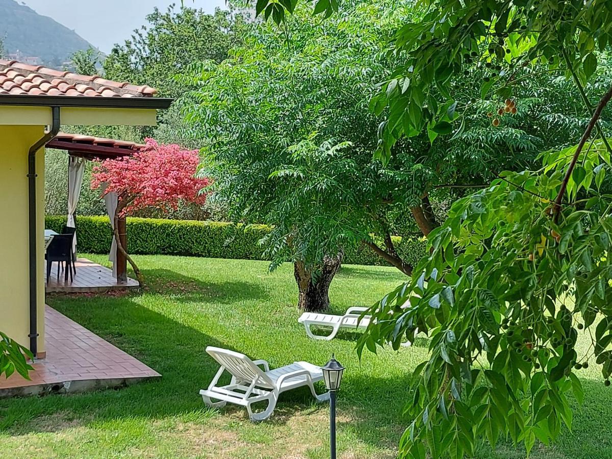 Villa Mimosa Tropea Ricadi Εξωτερικό φωτογραφία
