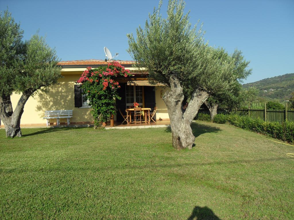 Villa Mimosa Tropea Ricadi Εξωτερικό φωτογραφία
